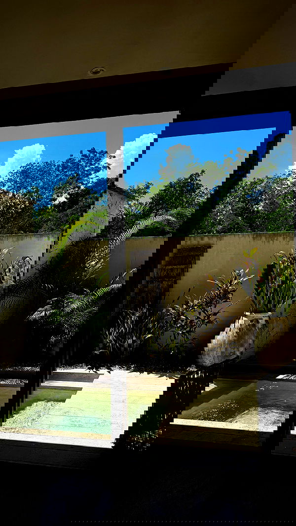 sedonaskyxo sedonaskyxo archive image