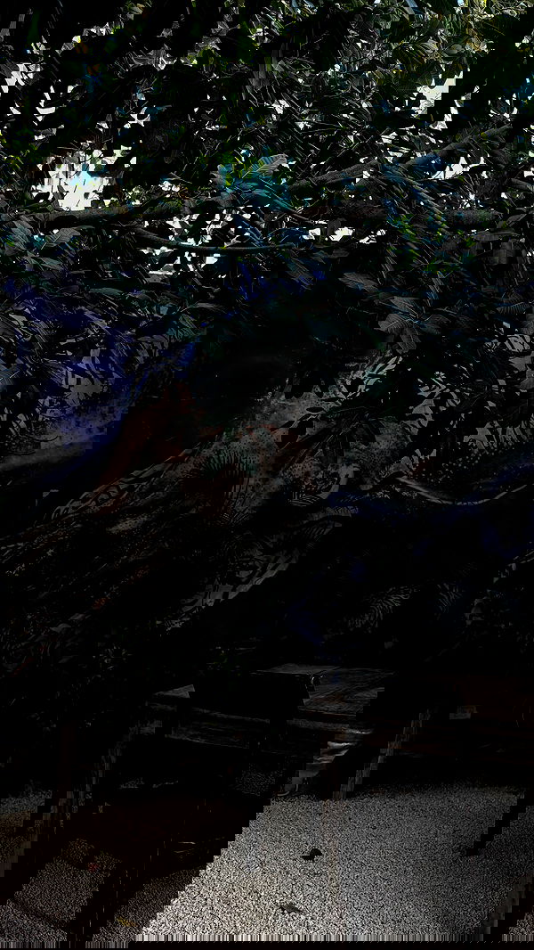 sedonaskyxo sedonaskyxo archive image