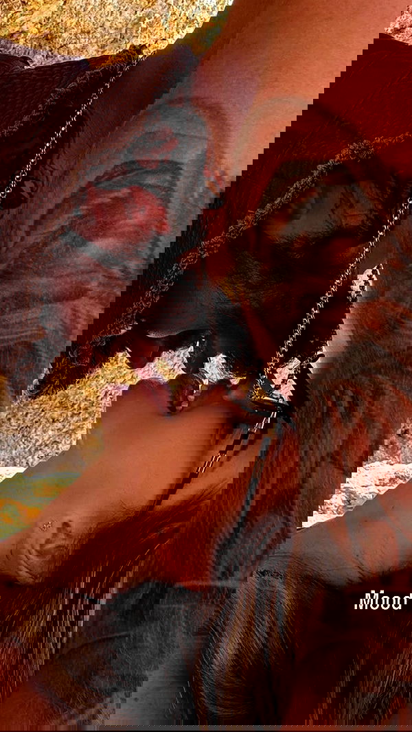 sedonaskyxo sedonaskyxo archive image