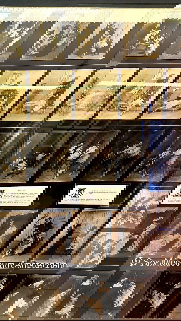 seilorkittyofficial seilorkittyofficial archive image