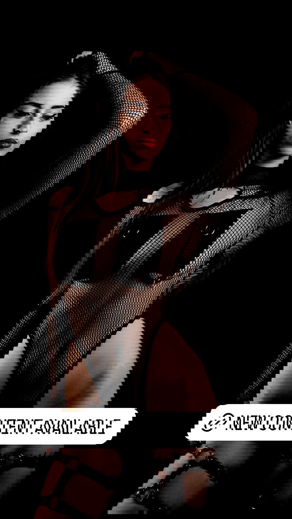 seilorkittyofficial seilorkittyofficial archive image