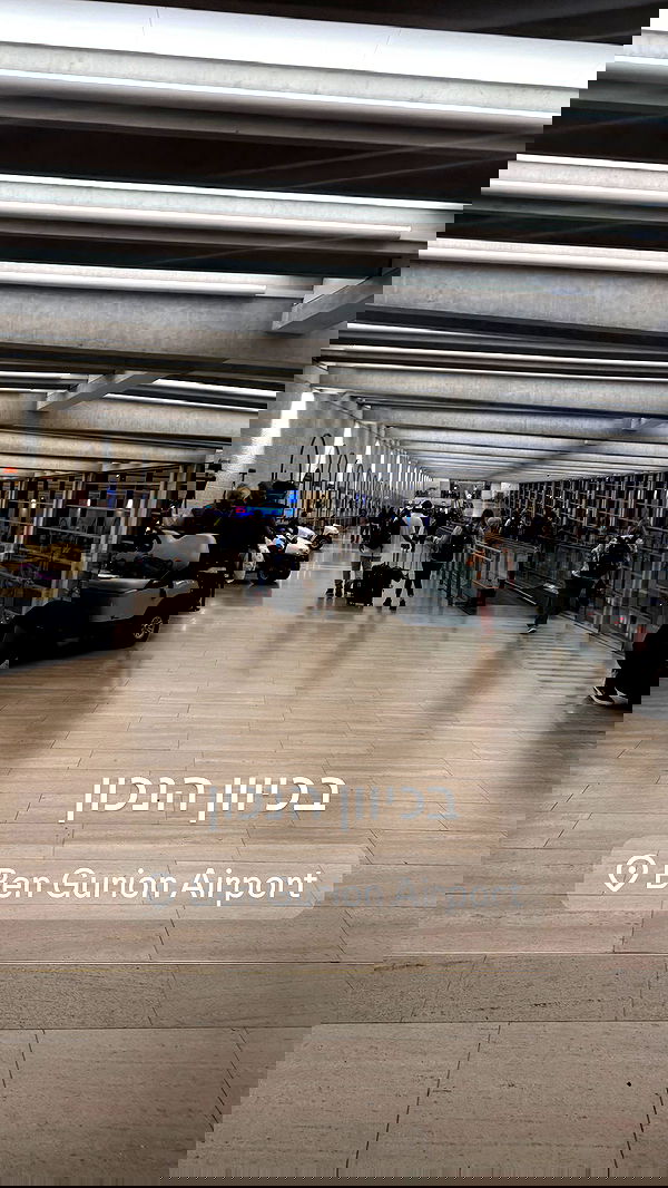 seilorkittyofficial seilorkittyofficial archive image