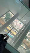 shai_korenn Altpins Profile Picture