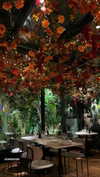 shai_korenn Altpins Profile Picture
