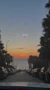 shai_korenn Altpins Profile Picture