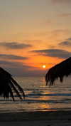shai_korenn Altpins Profile Picture