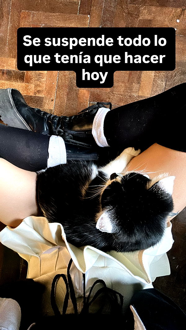 shaielsantos instagram image archive image