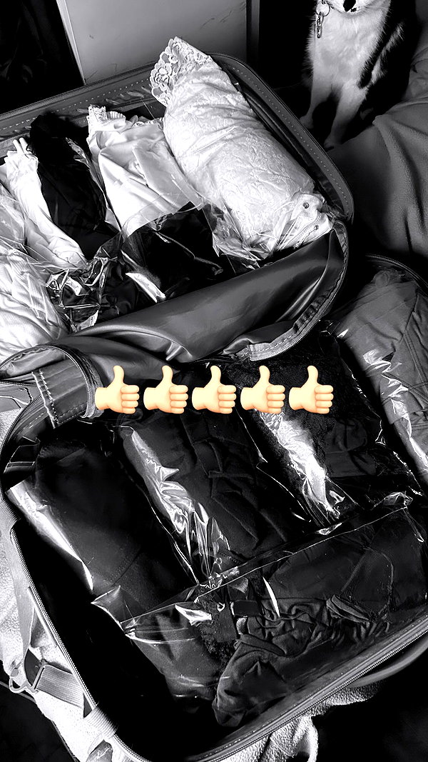 shaielsantos instagram image archive image