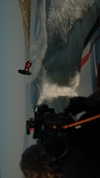 shaipeleg Altpins Profile Picture