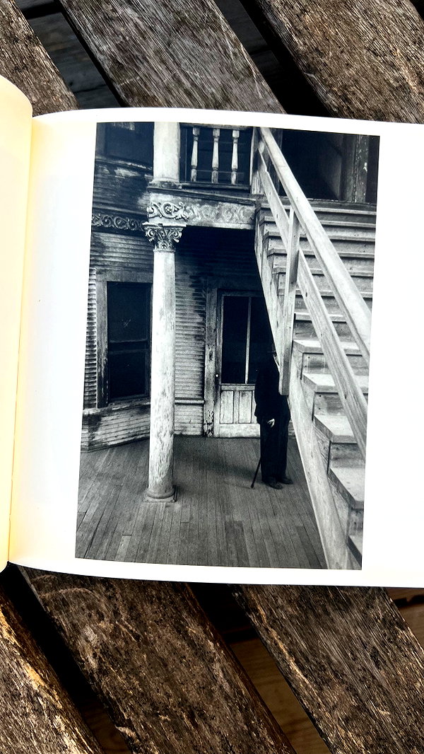 shaipeleg instagram image archive image