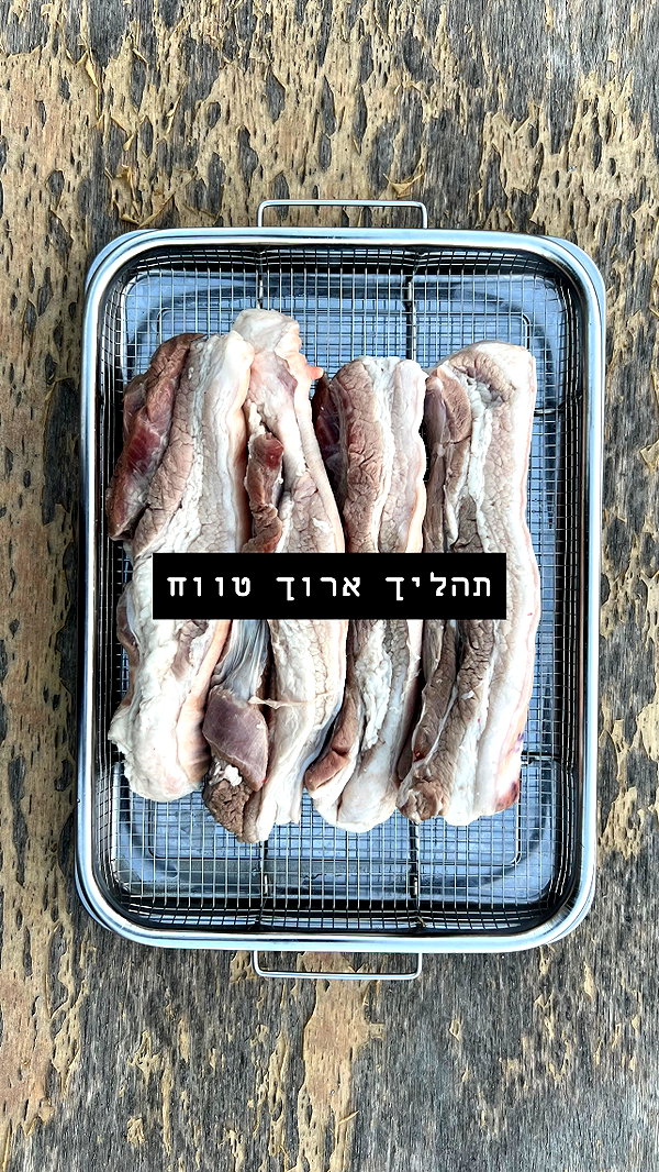 shaipeleg instagram image archive image