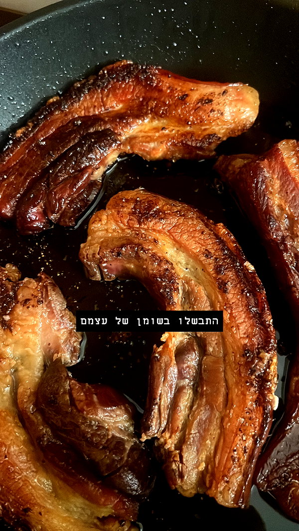 shaipeleg instagram image archive image