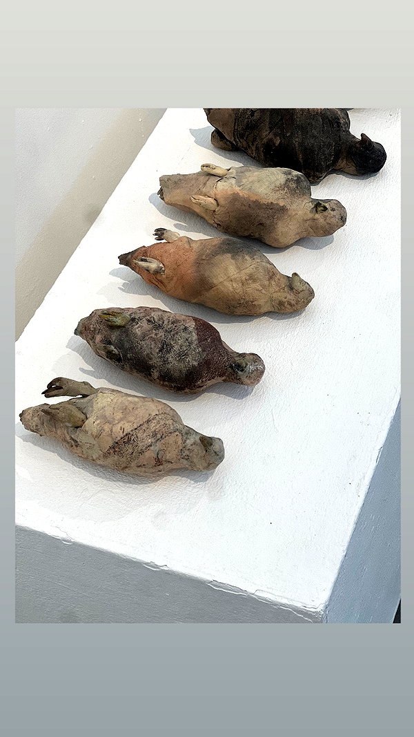 shaipeleg instagram image archive image