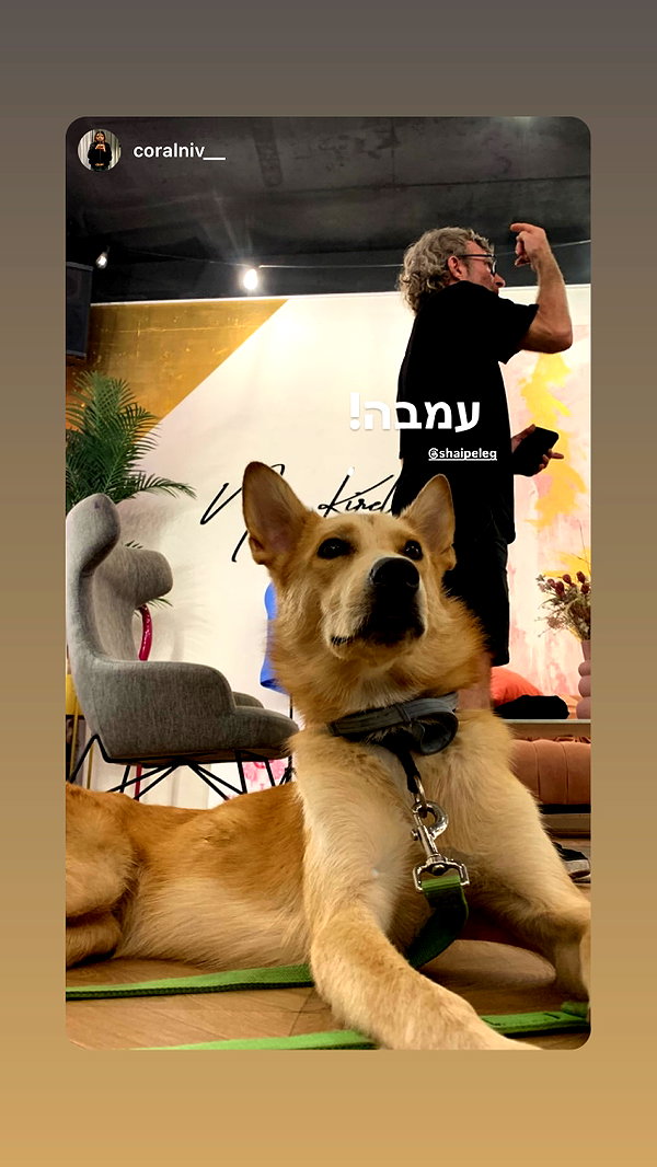 shaipeleg instagram image archive image