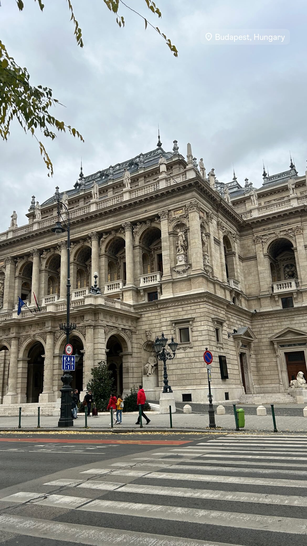 shakeddri instagram image archive image