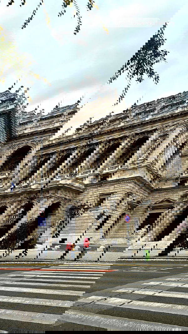 shakeddri image ~ Altpins