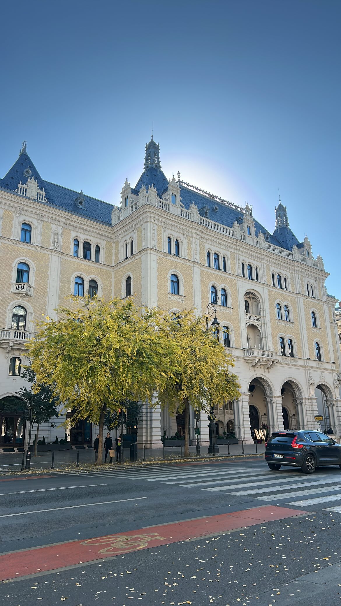 shakeddri instagram image archive image