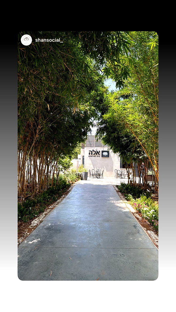 shani.zeltzer instagram image archive image