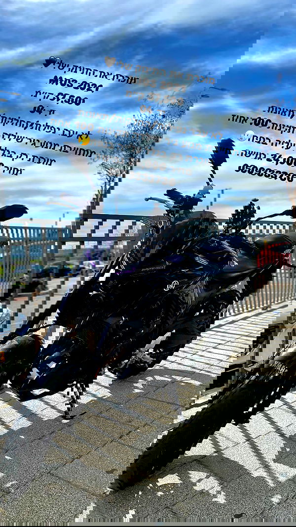 shanidahan7 image ~ Altpins