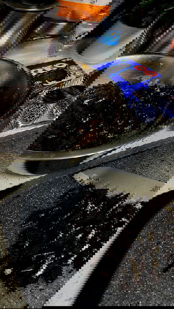 shanidahan7 image ~ Altpins