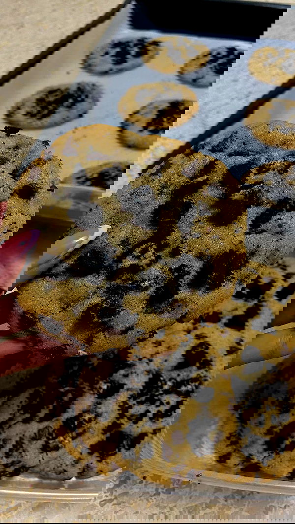 shanidahan7 image ~ Altpins