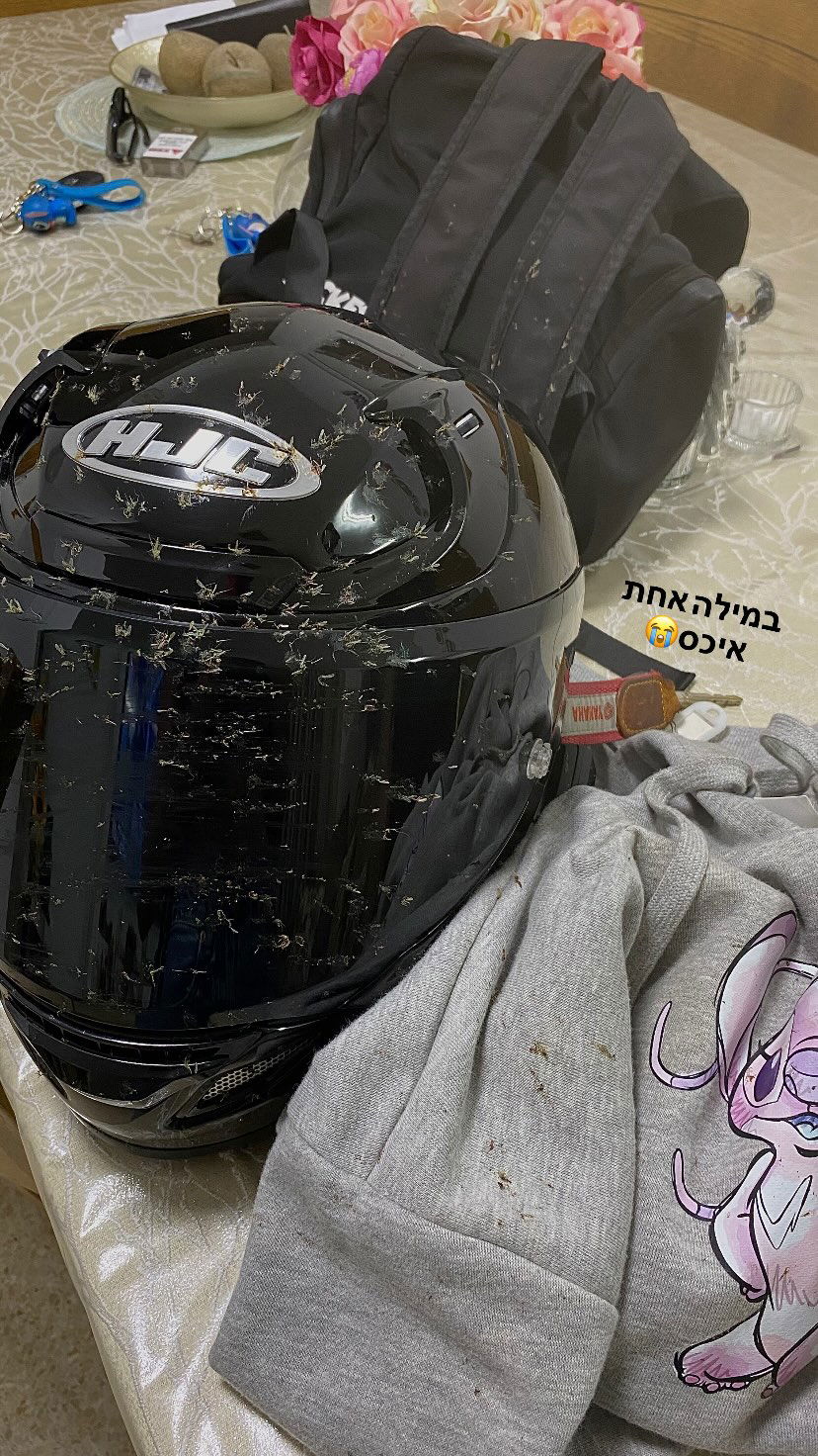 shanidahan7 instagram image archive image