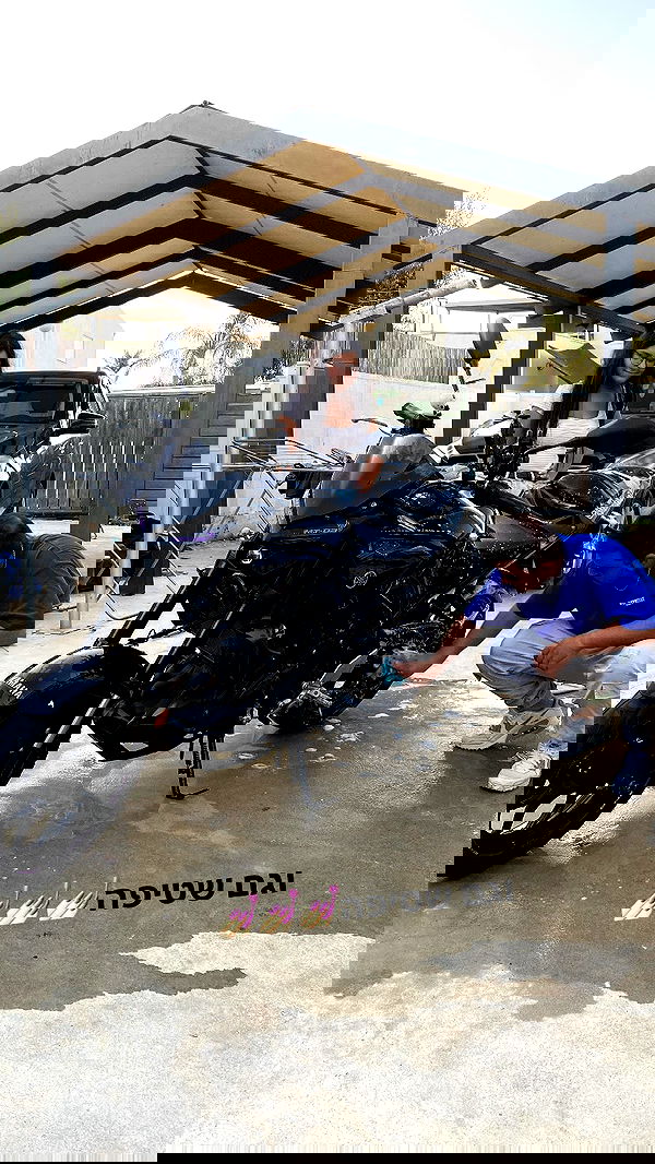 shanidahan7 image ~ Altpins