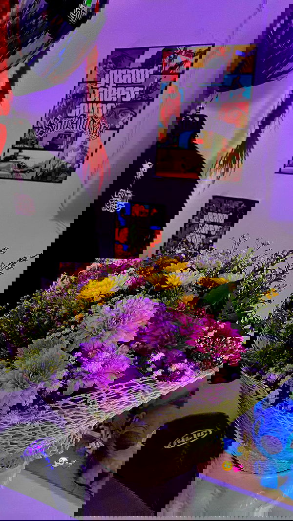 shanidahan7 image ~ Altpins