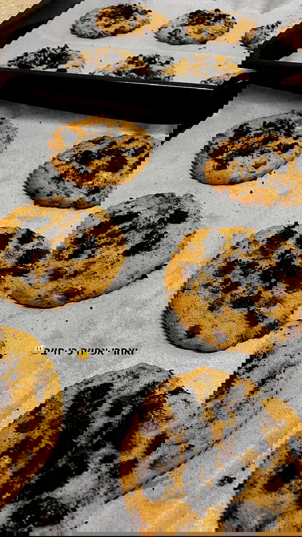 shanidahan7 image ~ Altpins