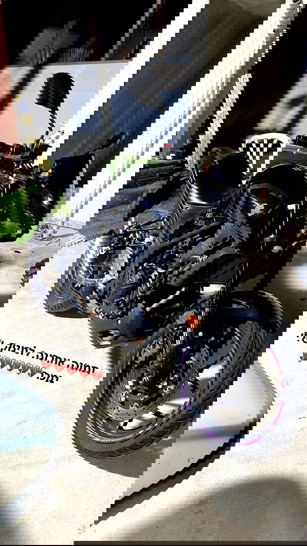 shanidahan7 image ~ Altpins