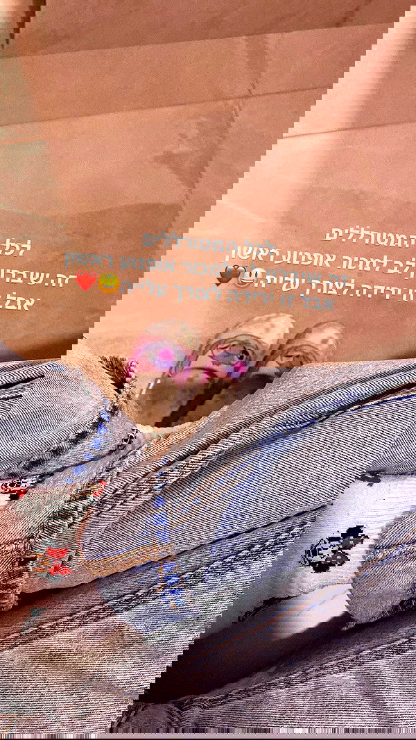 shanidahan7 image ~ Altpins