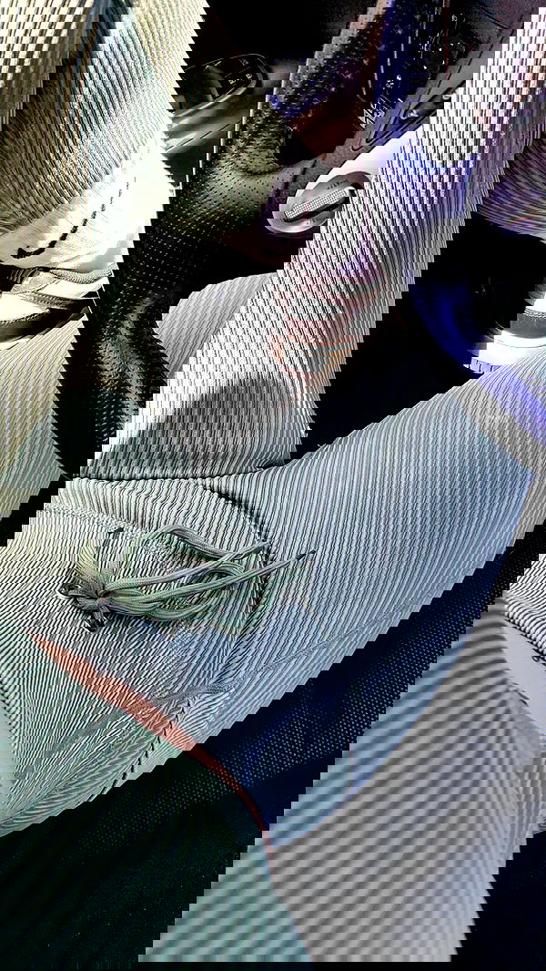 shanikaneko image ~ Altpins