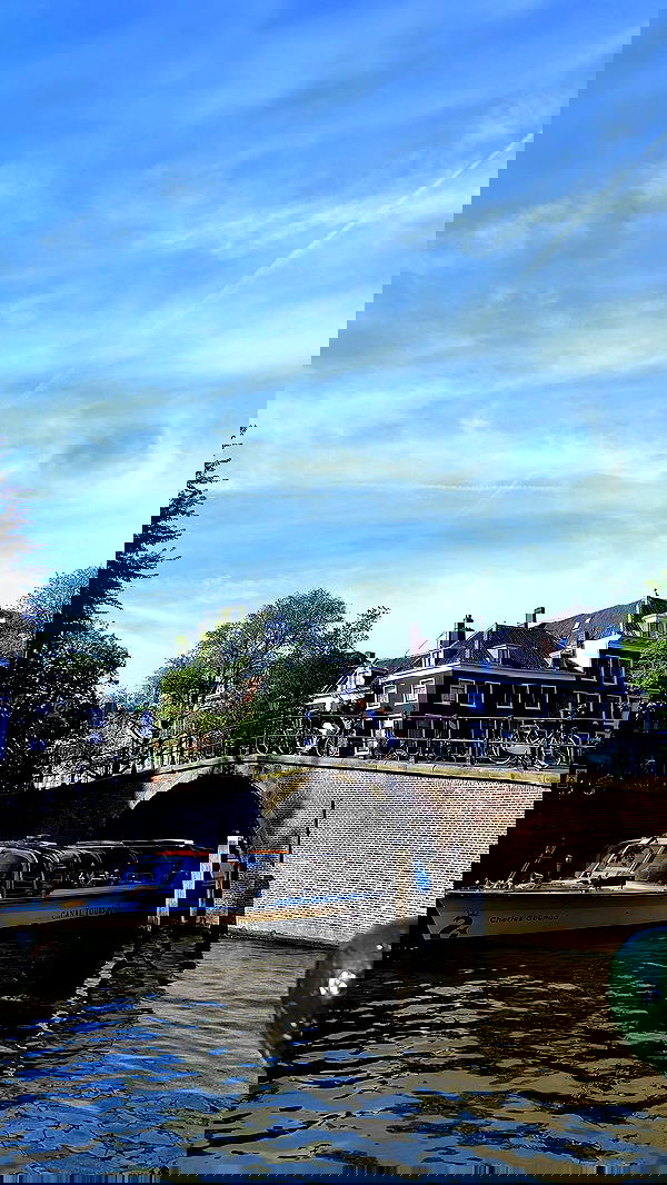 shanikaneko image ~ Altpins