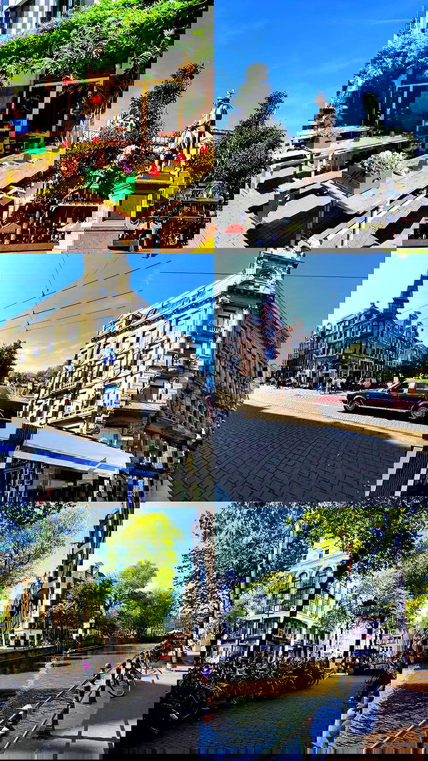 shanikaneko image ~ Altpins