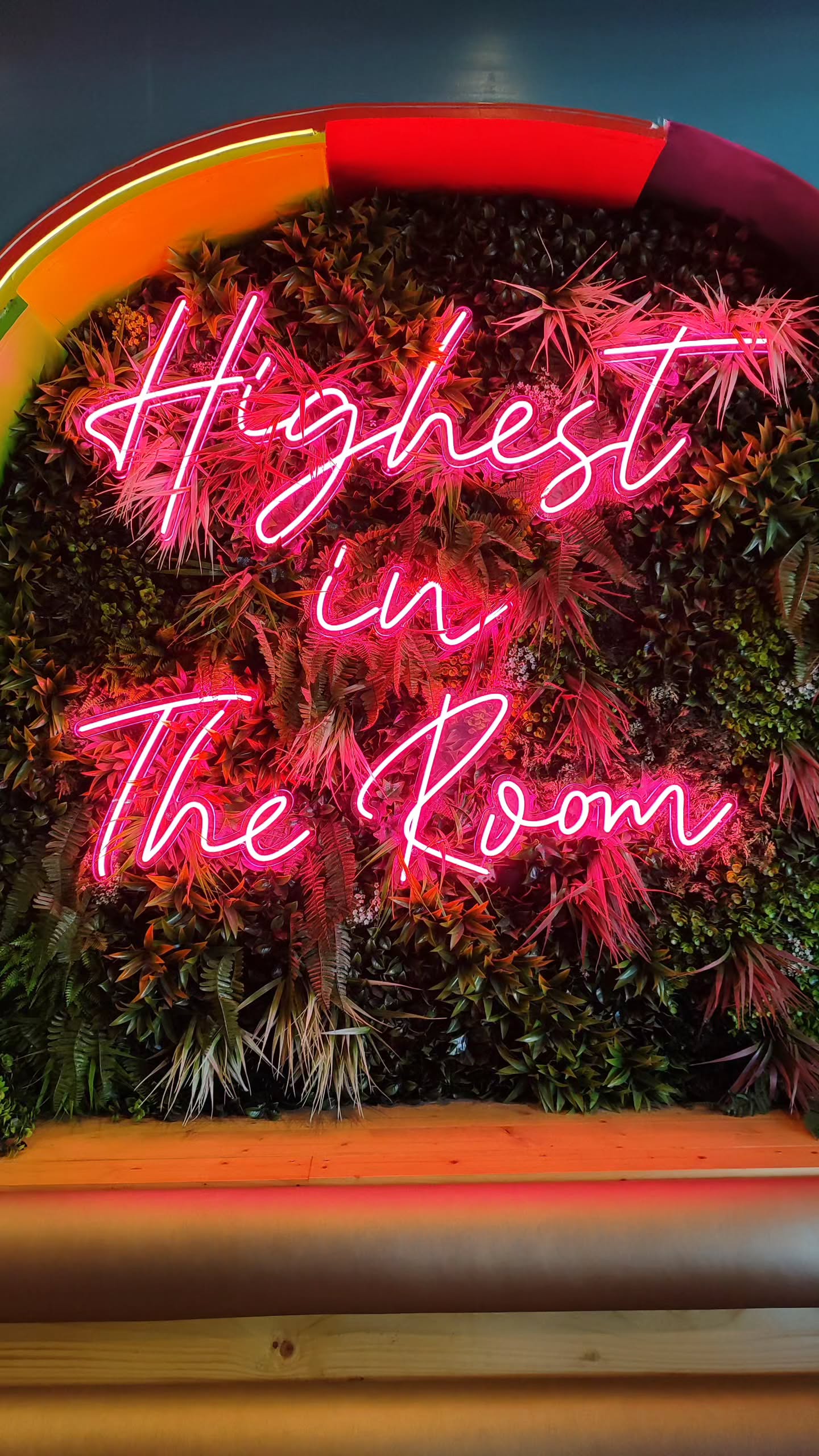 shanikaneko instagram image archive image