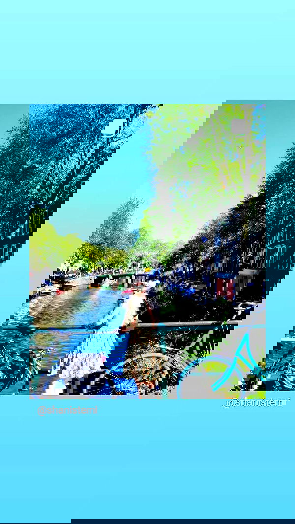 shanikaneko image ~ Altpins