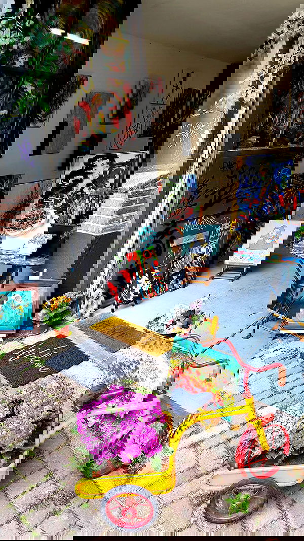 shanikaneko image ~ Altpins