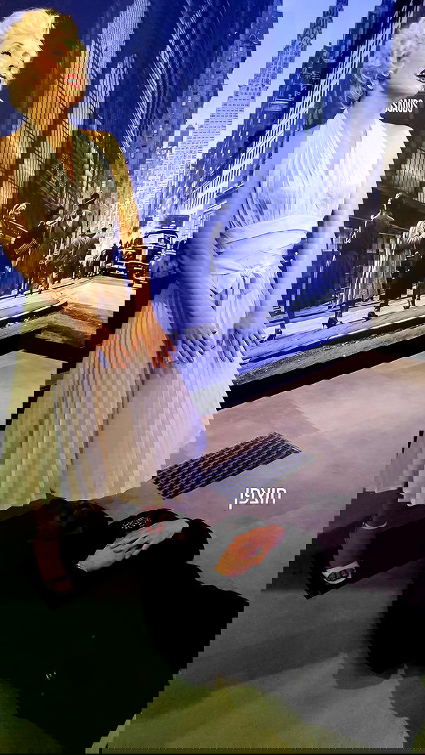 shanikaneko image ~ Altpins