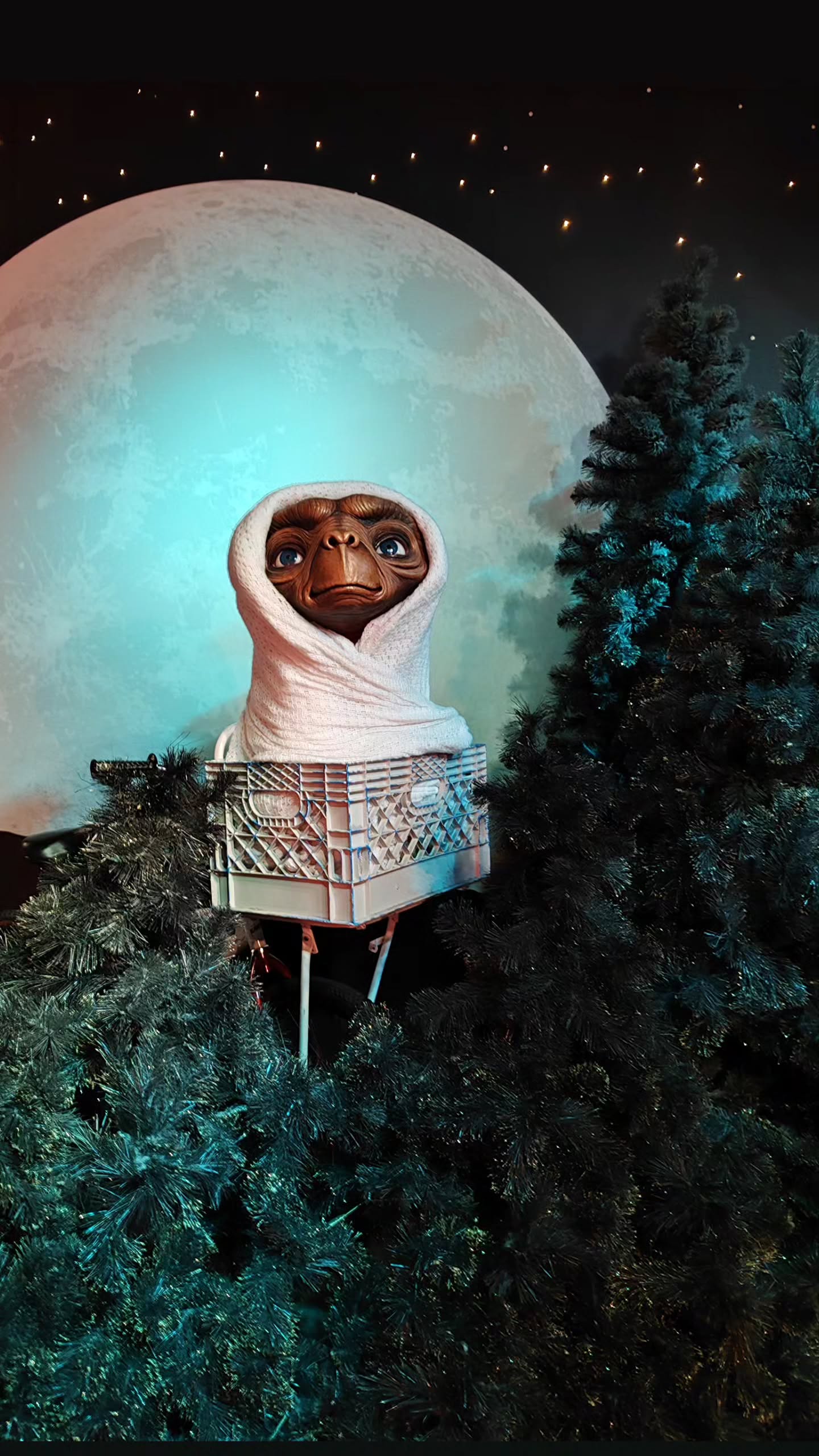 shanikaneko instagram image archive image