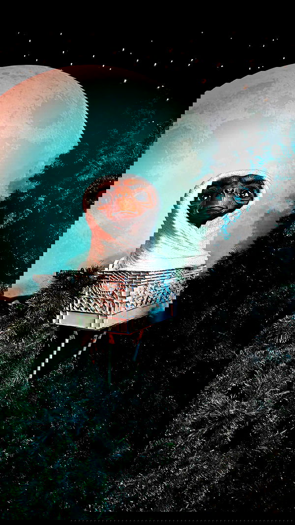 shanikaneko image ~ Altpins