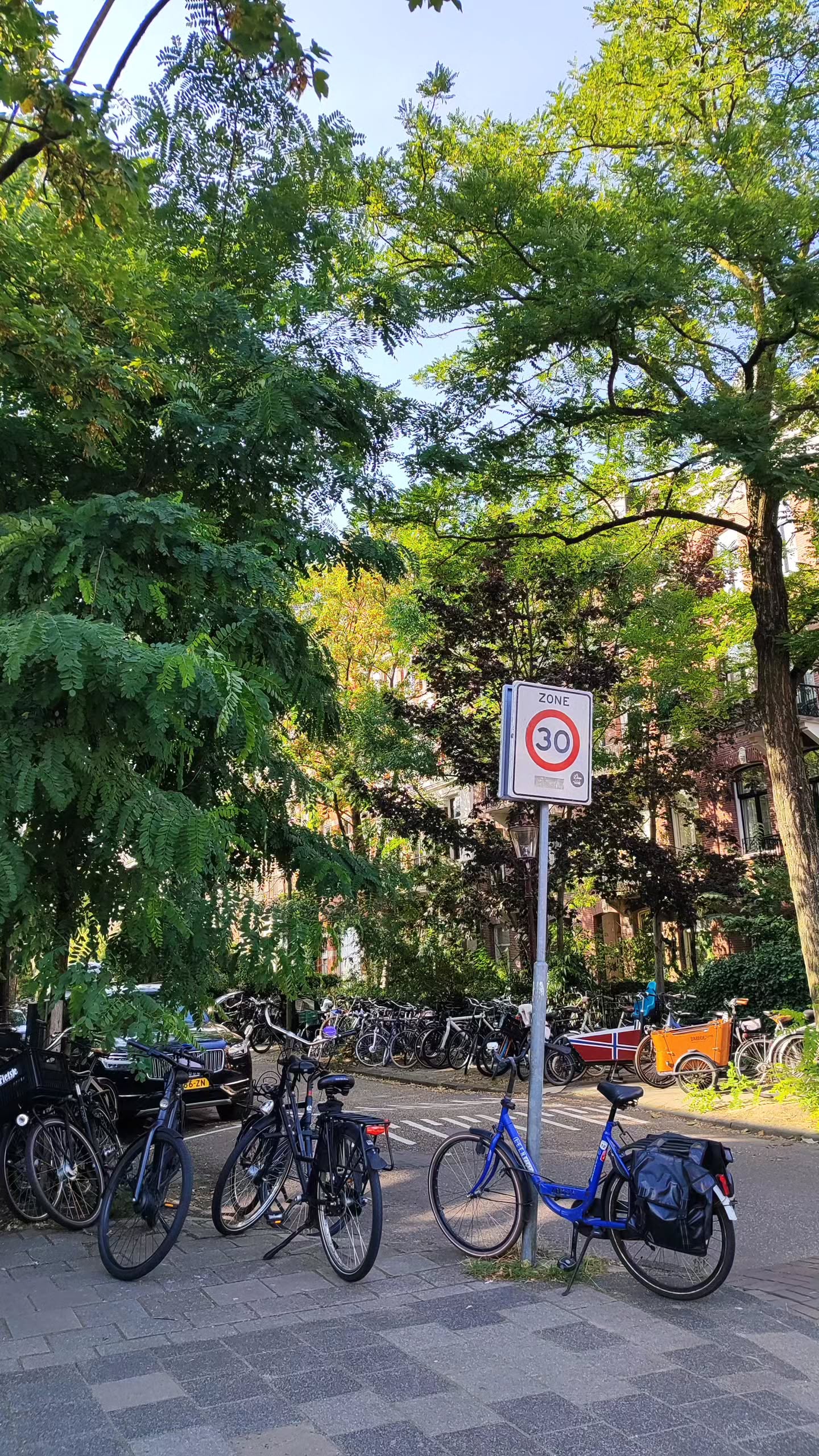 shanikaneko instagram image archive image