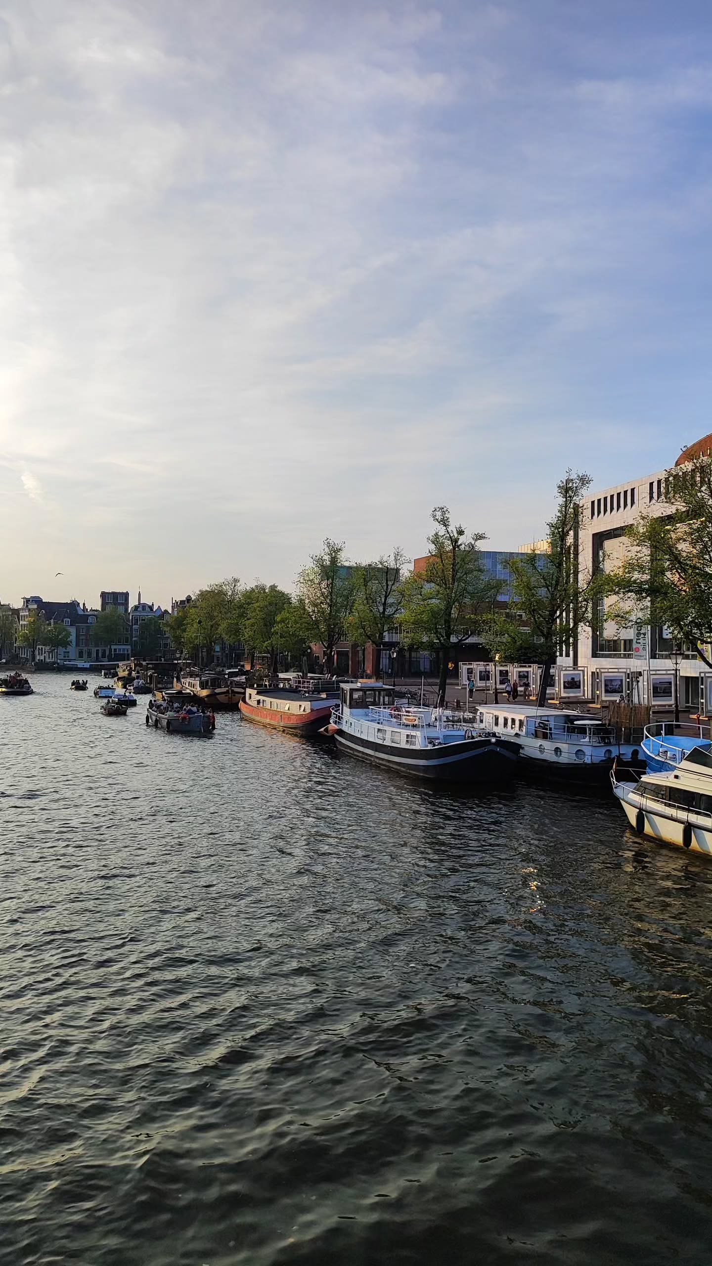 shanikaneko instagram image archive image