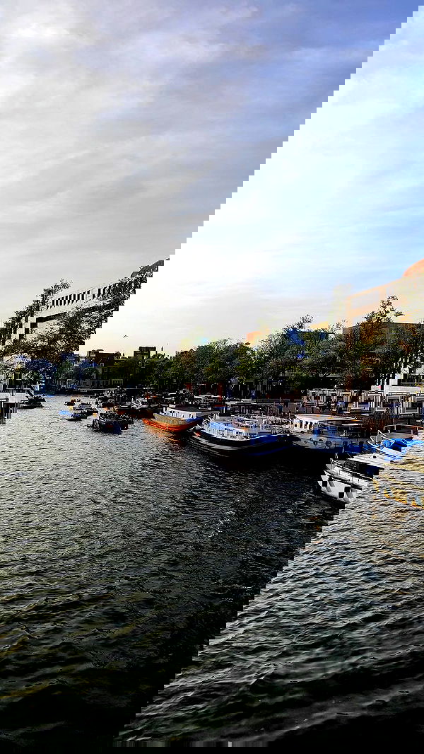 shanikaneko image ~ Altpins