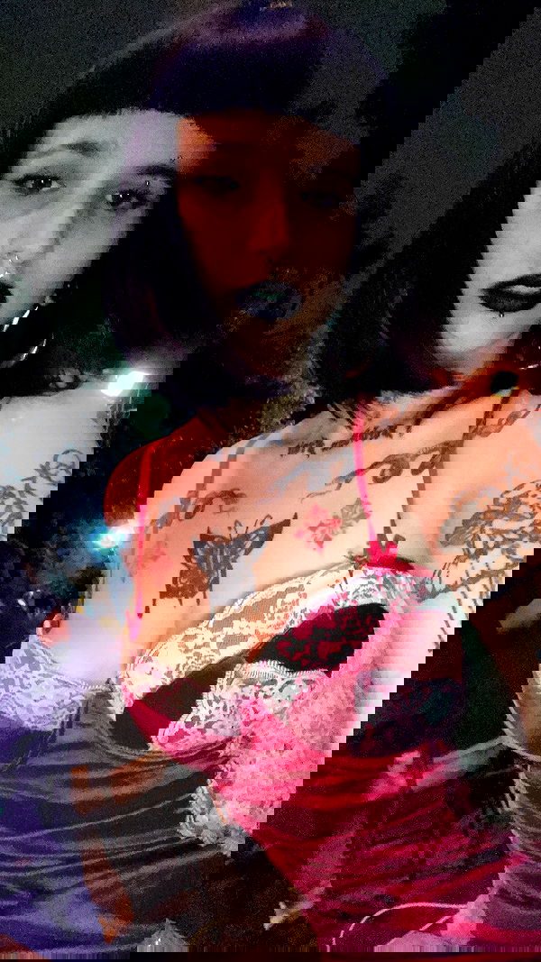 shanikaneko image ~ Altpins