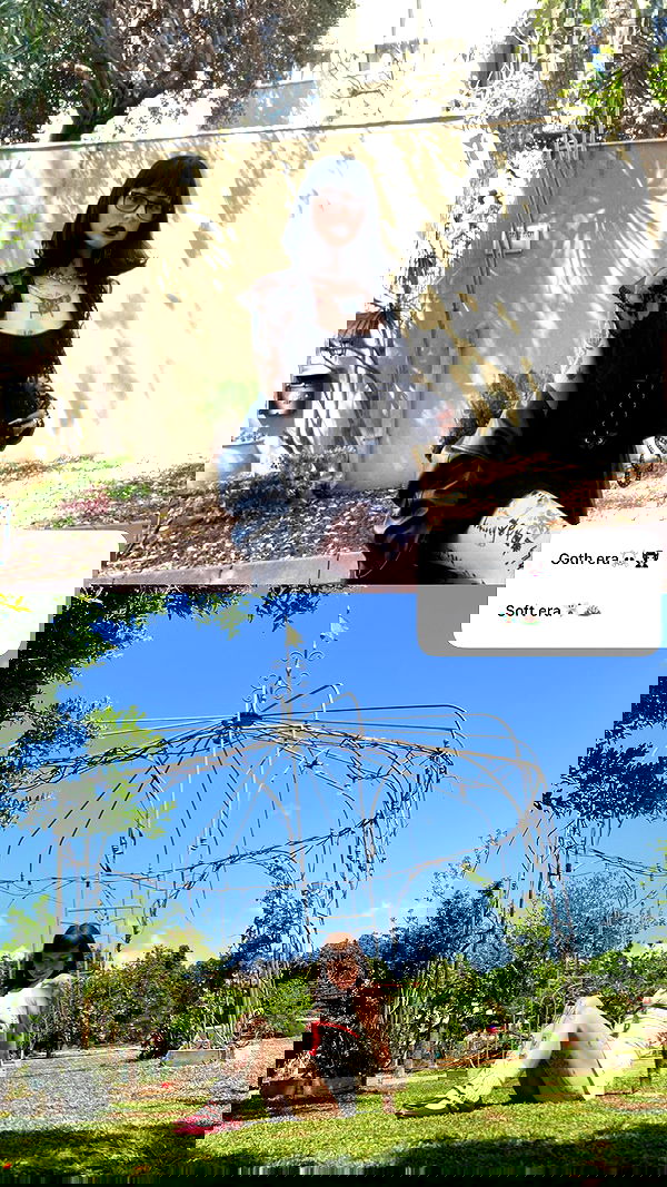 shanikaneko image ~ Altpins