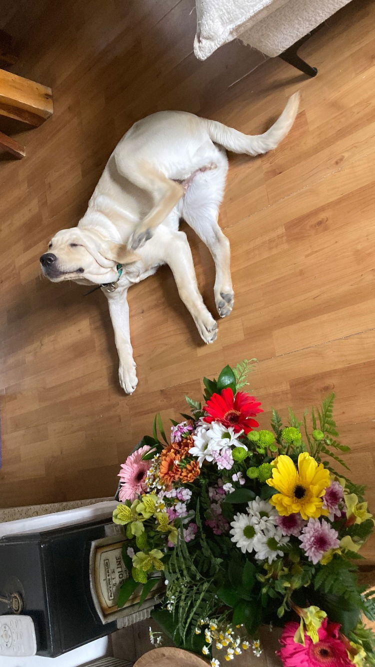 shanikaneko instagram image archive image