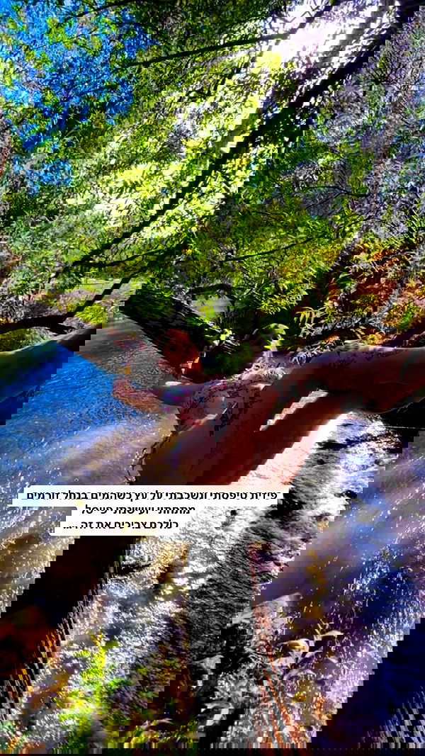 shanikaneko image ~ Altpins