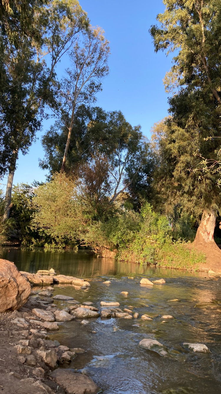 shanikaneko instagram image archive image