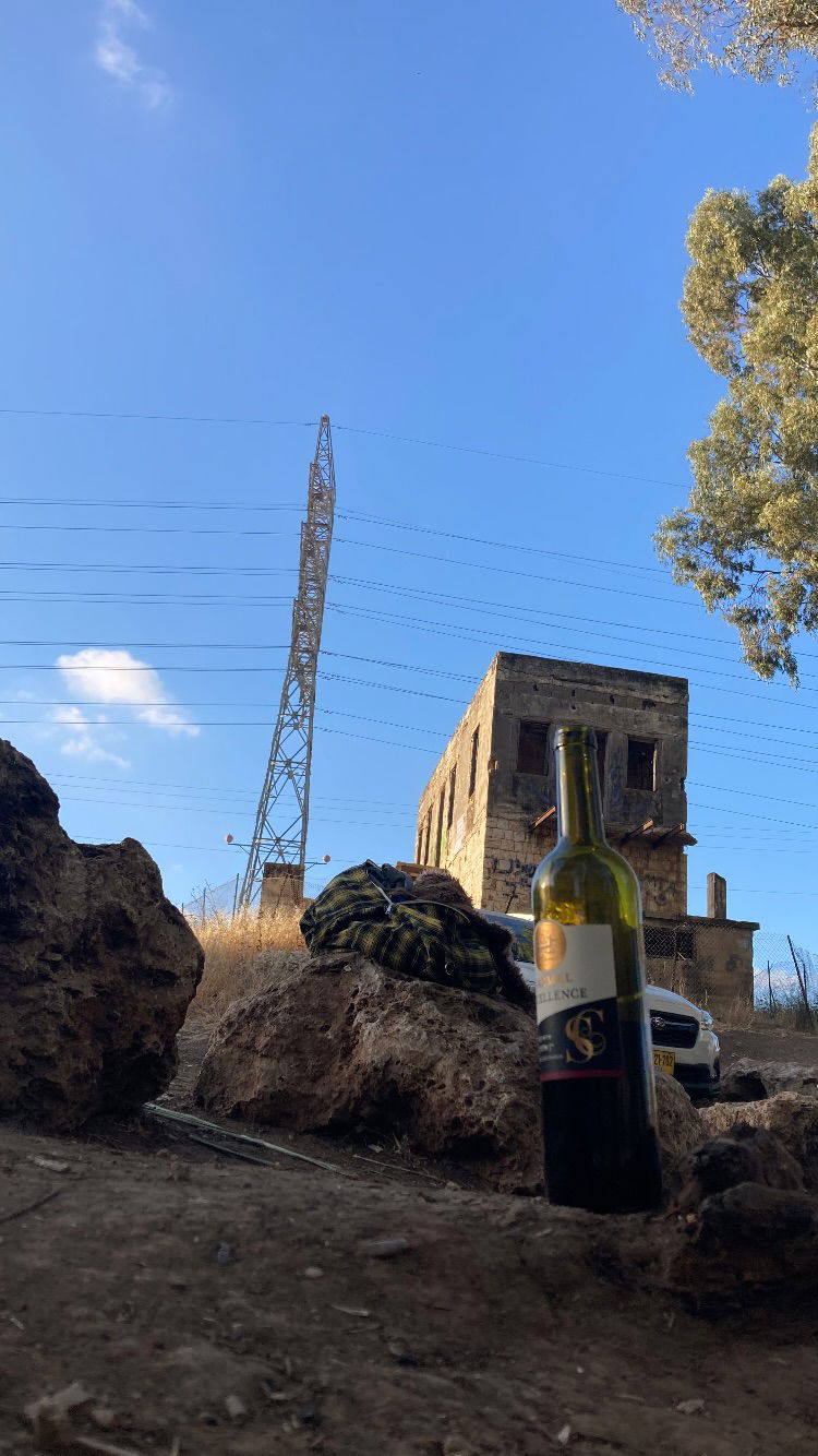 shanikaneko instagram image archive image