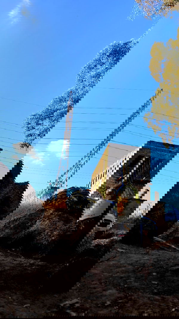 shanikaneko image ~ Altpins